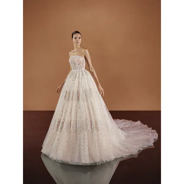 TAJ Strapless princess wedding dress 1 TAJ Strapless princess wedding dress